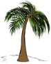 картинки для дітей пальма